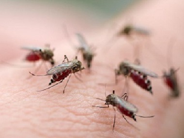 白坭四害消杀中心常用的灭蚊子的4个方法