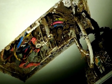 佛山杀灭白蚁站——白蚁能吃钢筋水泥吗？