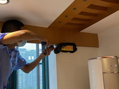 芦苞白蚁备案中心怎么知道家中有无白蚁