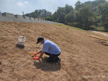 西南灭鼠杀虫机构水库提坝鼠害防控怎么做