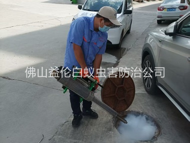 金本下水道热烟雾灭杀蚊虫、蟑螂工程