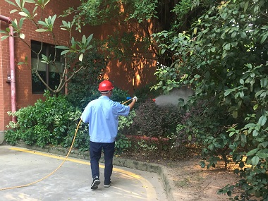 范湖杀虫灭鼠中心蚊虫密度最高峰，如何防治？